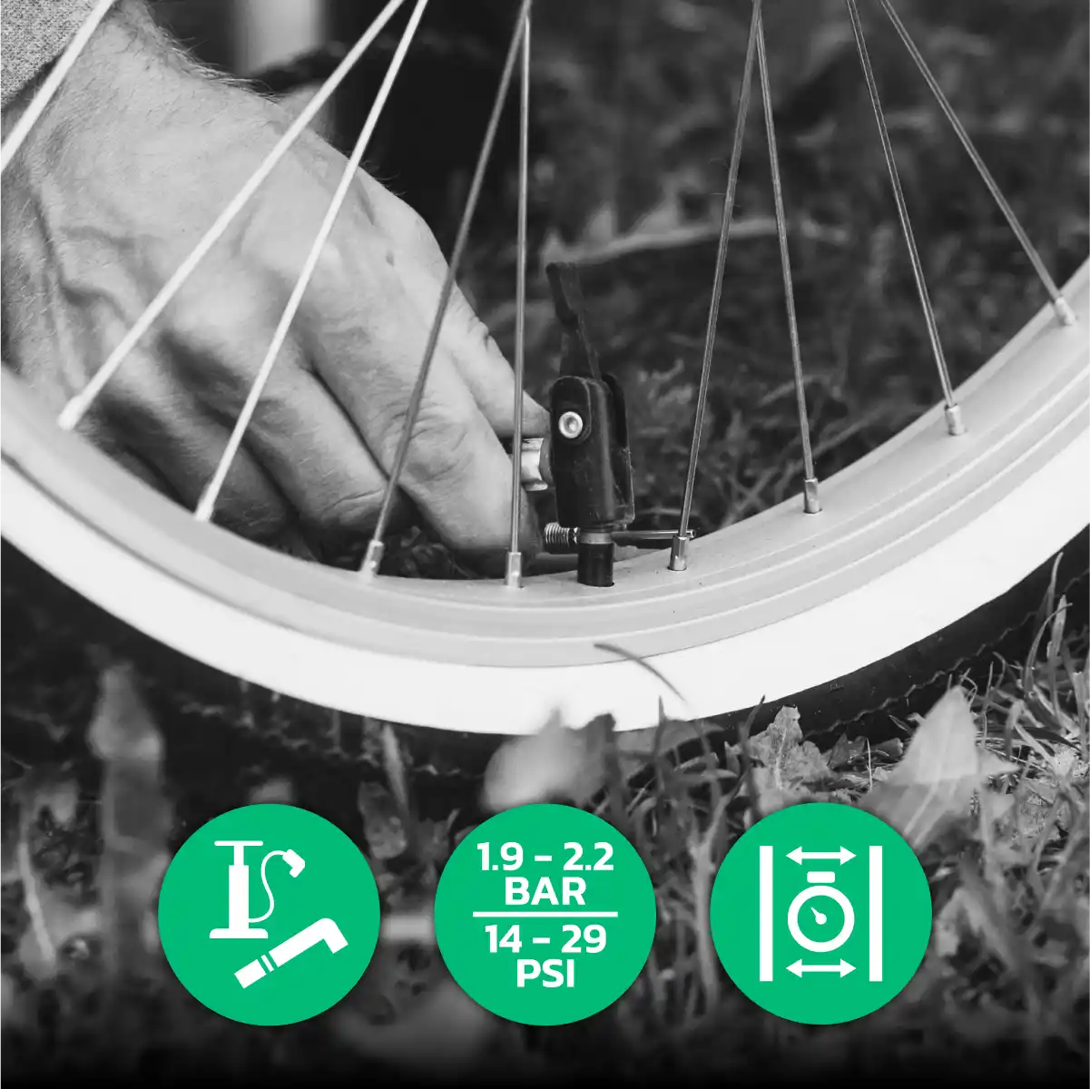 Camera d'aria 26 x 1 95 valvola Schrader