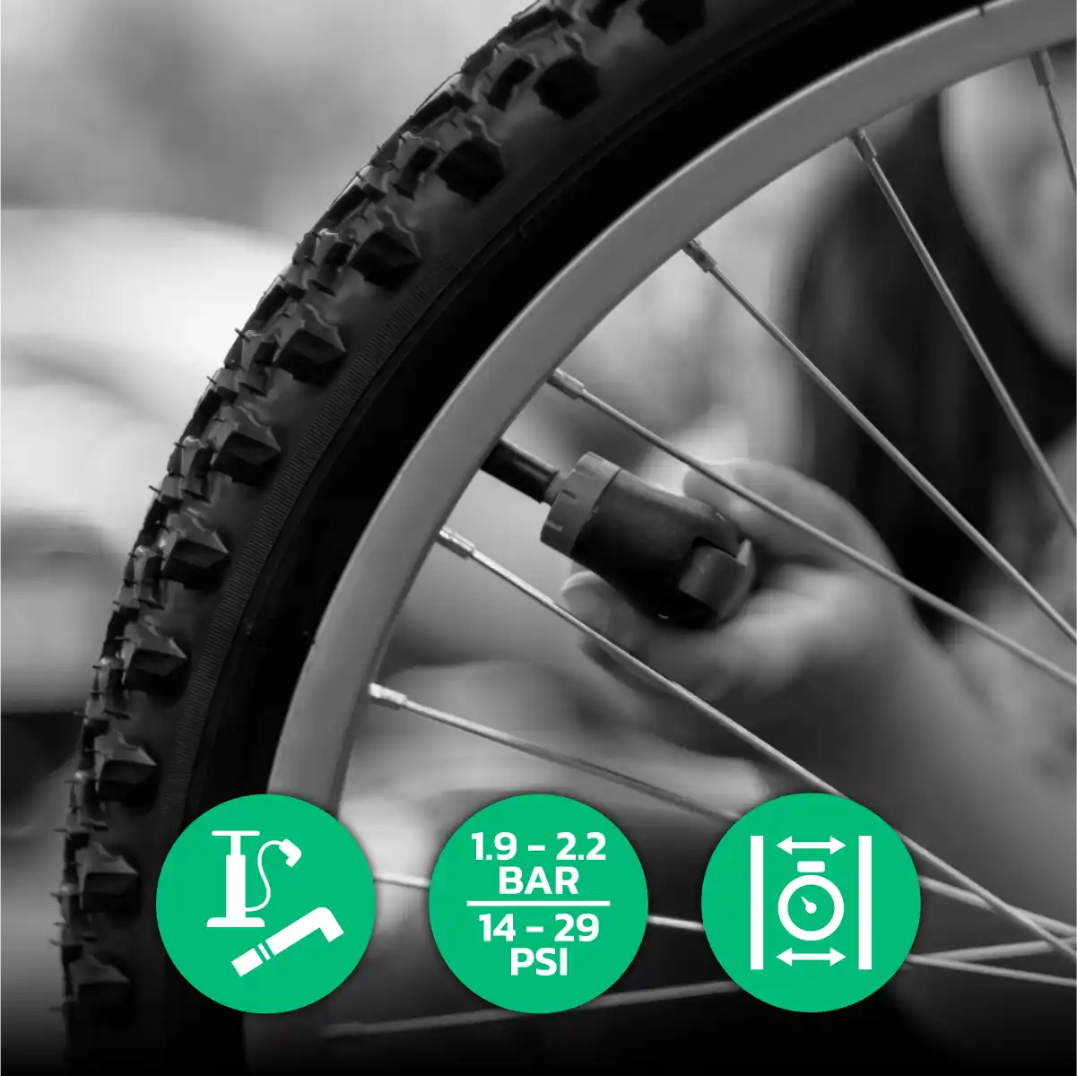 camera d'aria pneumatico bici pieghevole 24x1.90 > 2.40 valvola schrader